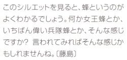 「テイルズオブヴェスペリア イラストレーションズ 藤島康介のキャラクター仕事」に載っているジュディスのシルエットに対する藤島氏のコメント